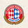拜仁慕尼黑俱乐部队徽小图标